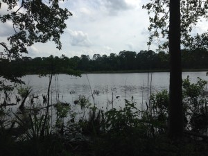 A view of the lake from the ruins of the old sawmill.